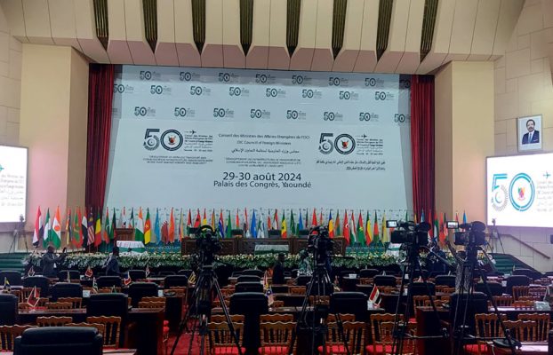 NEW SKY: Cameroon’s Premier Partner for Professional Meetings